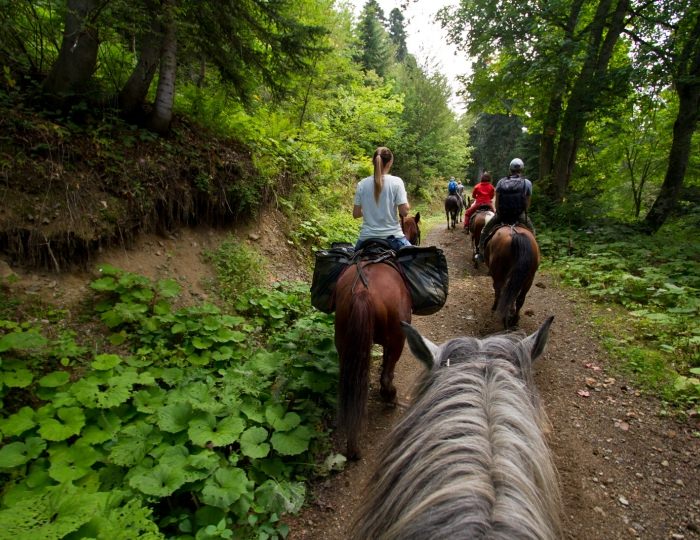 Летние развлечения на территории курорта Красная Поляна (ex. Горки Город) - Отель Ibis Styles / Ибис Стайлс Красная Поляна