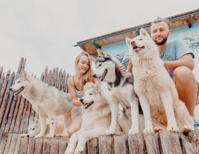 Развлечения круглый год на территории курорта «Красная Поляна (ex. Горки Город)» - Отель Ibis Styles / Ибис Стайлс Красная Поляна