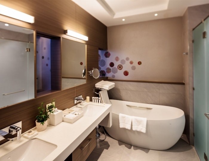 Стандарт с видом на горы - Отель Ibis Styles / Ибис Стайлс Красная Поляна